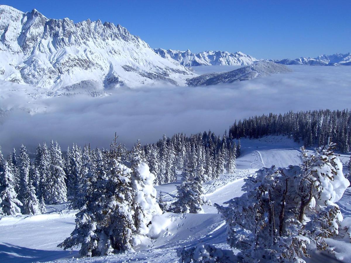 Haus Kobler Βίλα Mühlbach am Hochkönig Εξωτερικό φωτογραφία